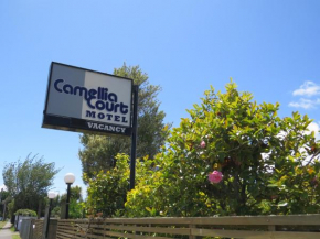  Camellia Court Family Motel  Таупо